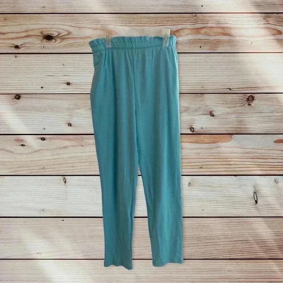 JACLYN SMITH SPORT SIZE SMALL BLUE PANT - Picture 1 of 2